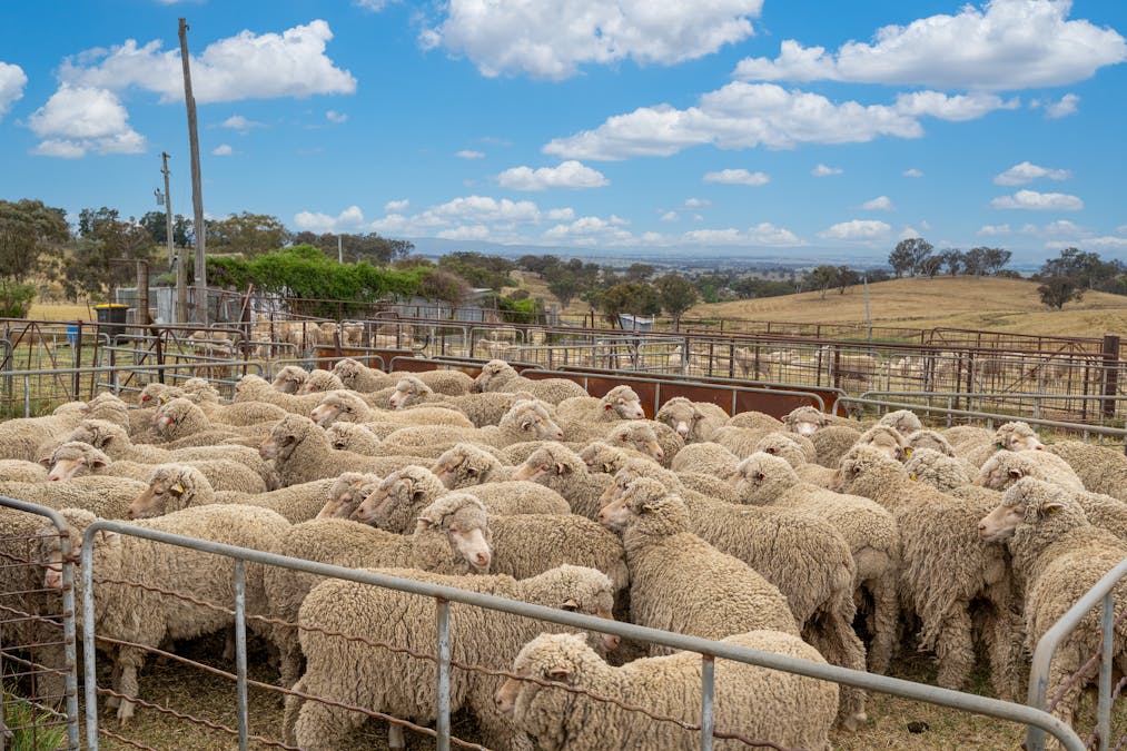 181 The Bridle Track, Duramana, NSW, 2795 - Image 15