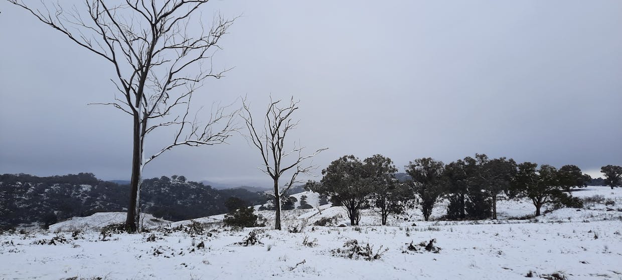 181 The Bridle Track, Duramana, NSW, 2795 - Image 19