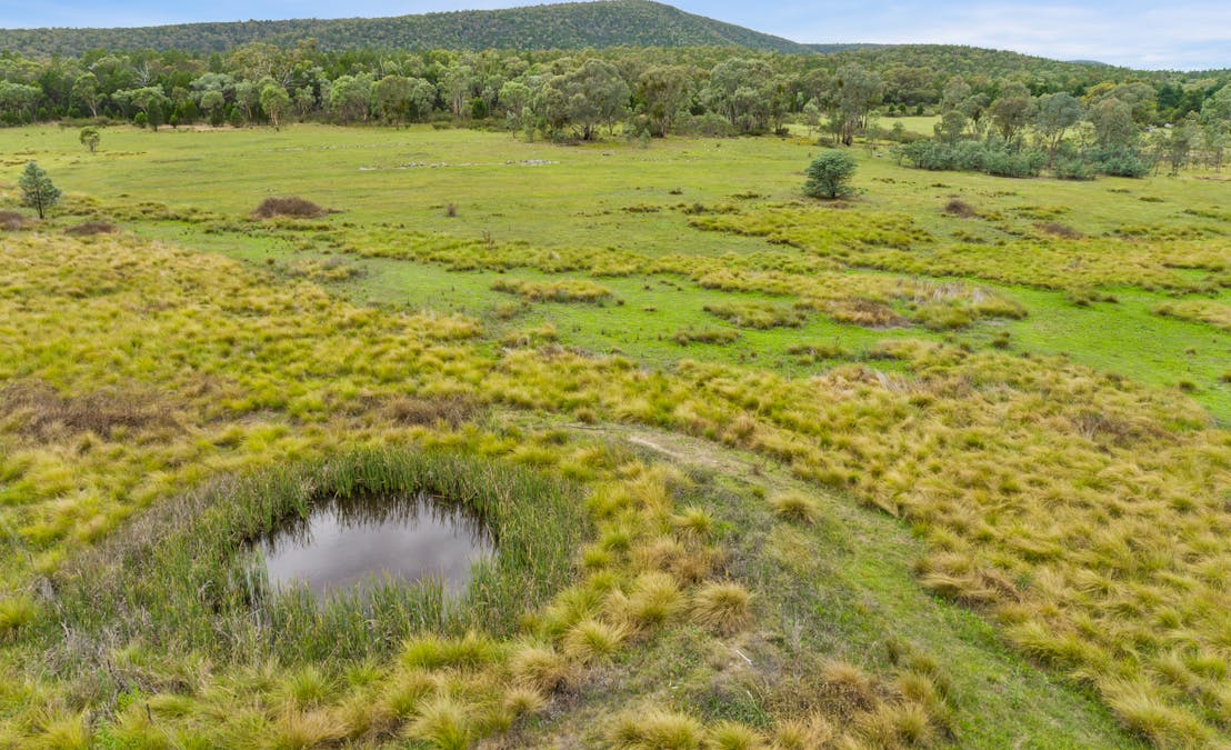 1717 Kangarooby Road, Gooloogong, NSW, 2805 - Image 2