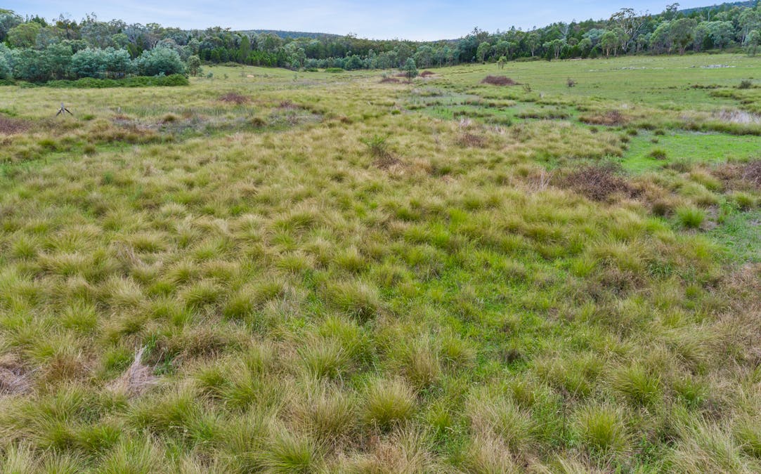 1717 Kangarooby Road, Gooloogong, NSW, 2805 - Image 3