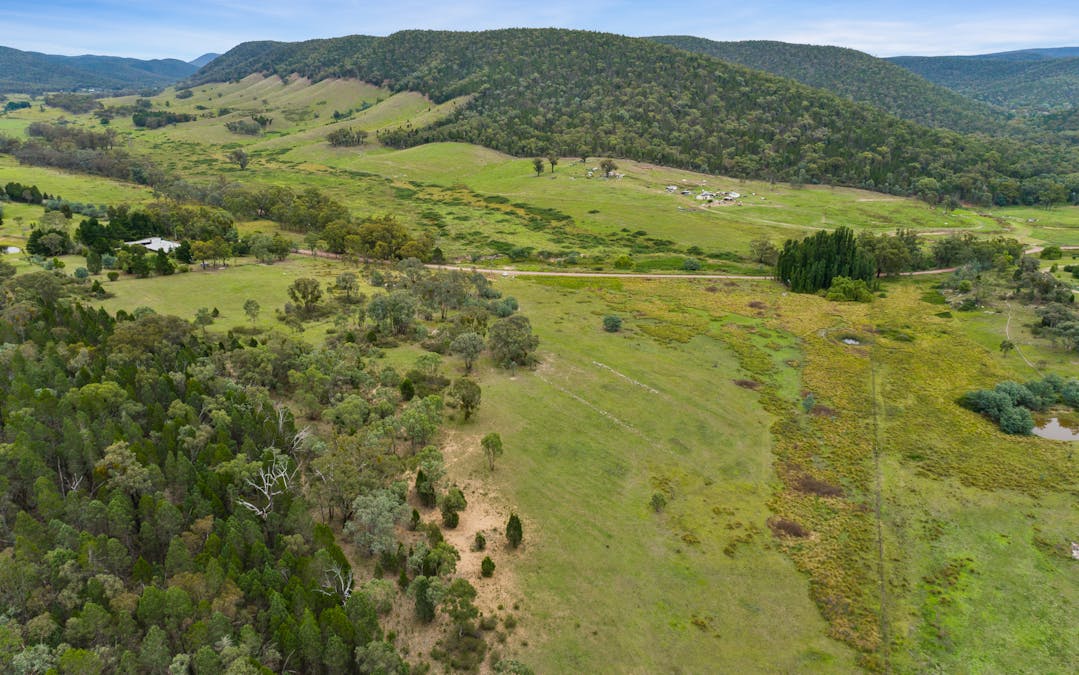 1717 Kangarooby Road, Gooloogong, NSW, 2805 - Image 5