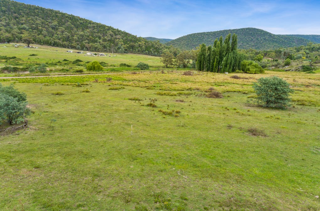 1717 Kangarooby Road, Gooloogong, NSW, 2805 - Image 6