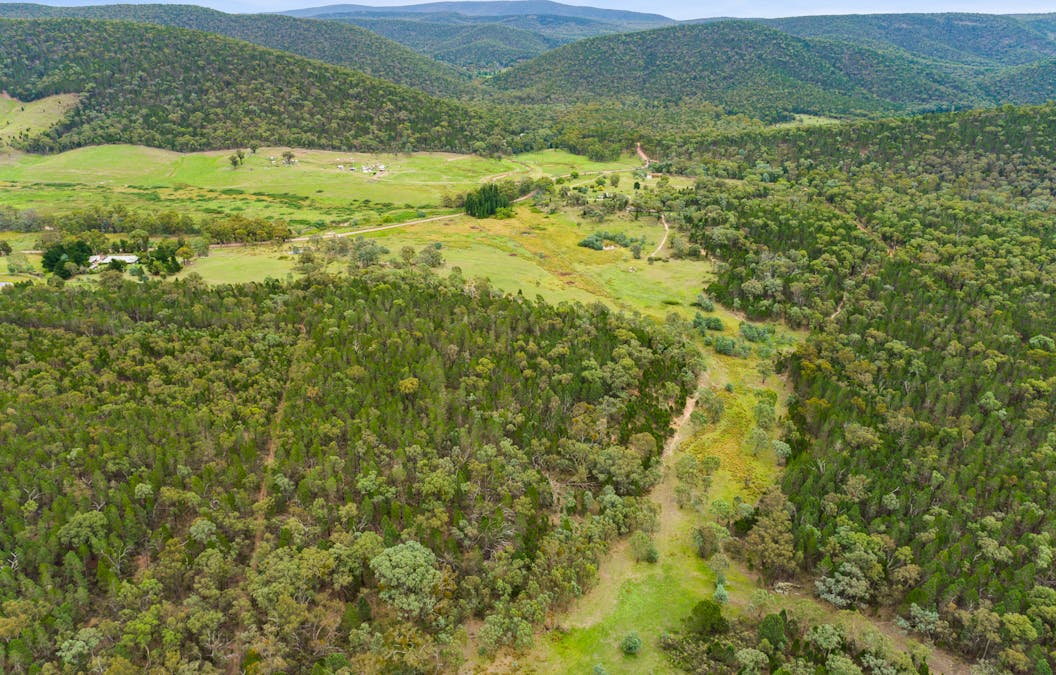 1717 Kangarooby Road, Gooloogong, NSW, 2805 - Image 7