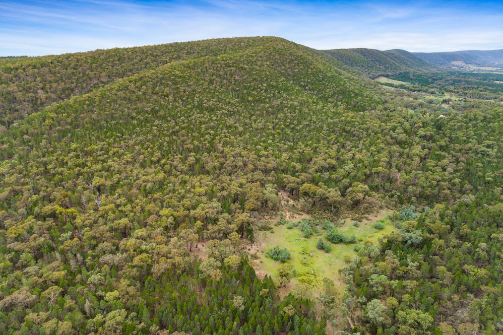 1717 Kangarooby Road, Gooloogong, NSW, 2805 - Image 9