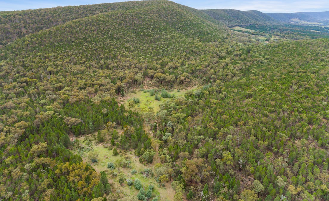 1717 Kangarooby Road, Gooloogong, NSW, 2805 - Image 11