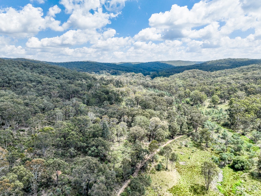 1474 Bald Ridge Road, Bald Ridge, NSW, 2795 - Image 4