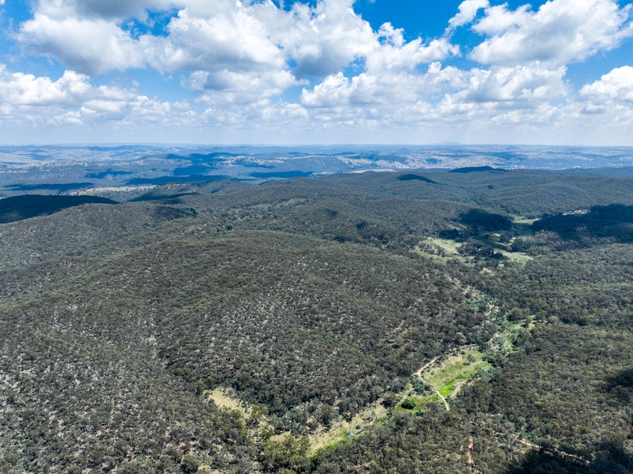 1474 Bald Ridge Road, Bald Ridge, NSW, 2795 - Image 6