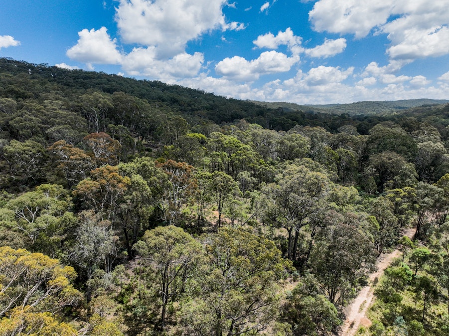 1474 Bald Ridge Road, Bald Ridge, NSW, 2795 - Image 7