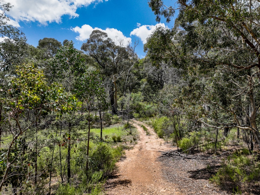 1474 Bald Ridge Road, Bald Ridge, NSW, 2795 - Image 3