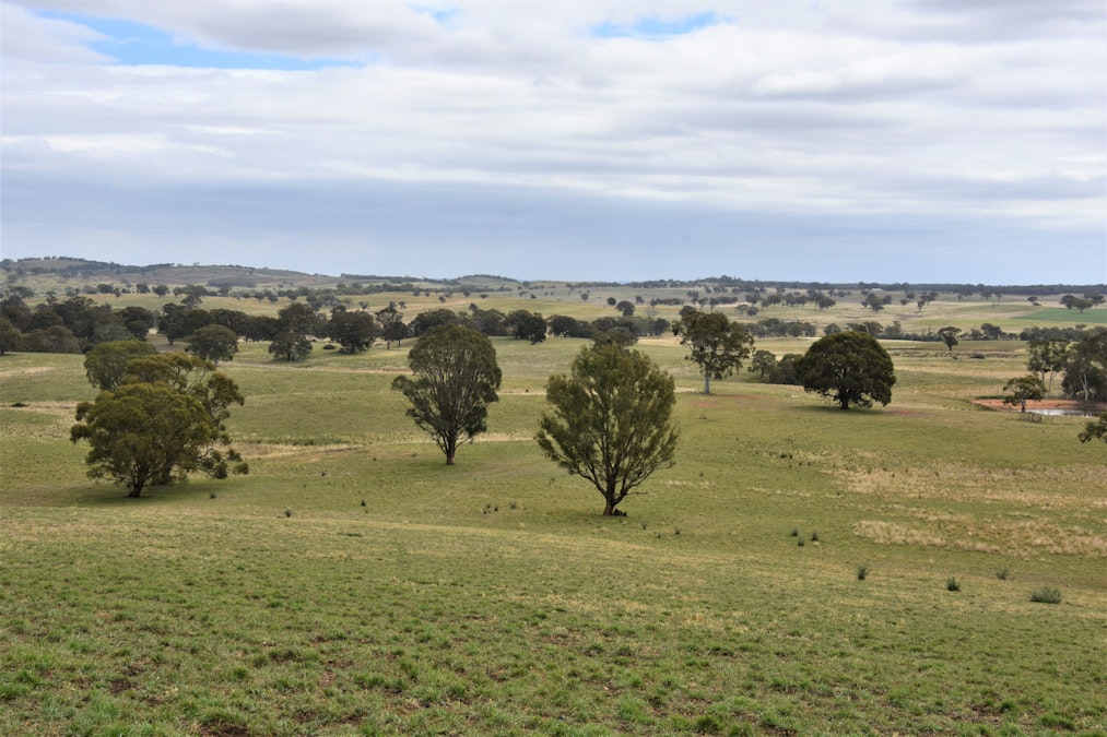 324 Red Hill Road, Bathurst, NSW, 2795 - Image 35
