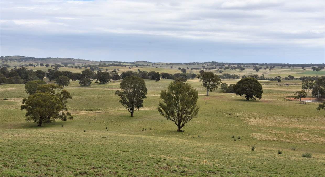 324 Red Hill Road, Bathurst, NSW, 2795 - Image 35
