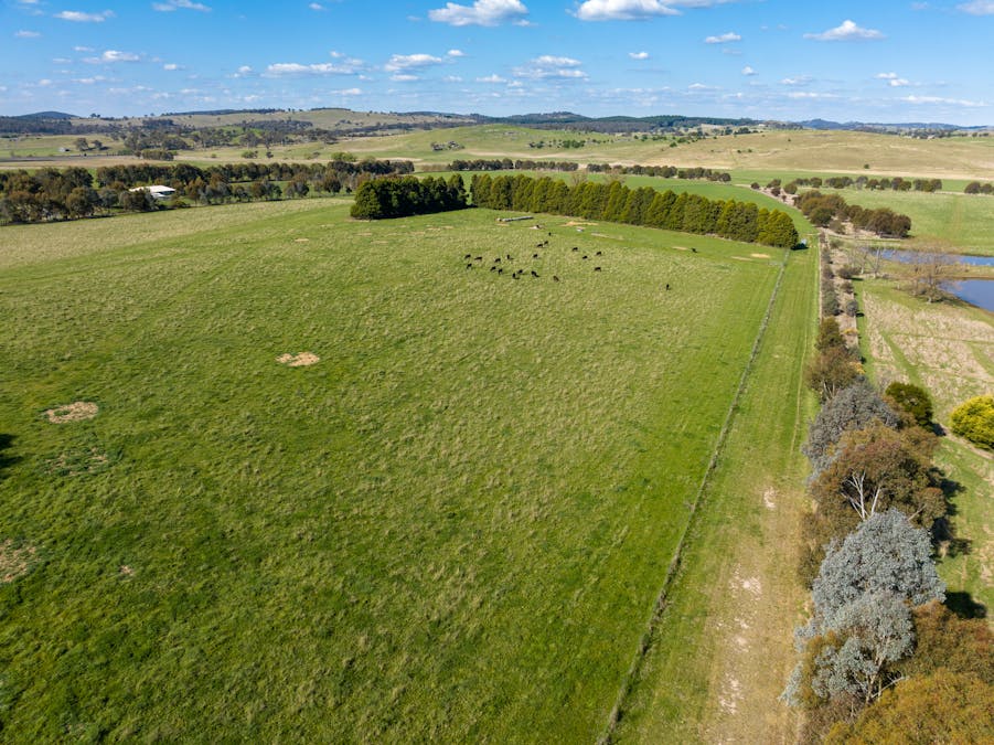 548 Emu Swamp Road, Orange, NSW, 2800 - Image 2