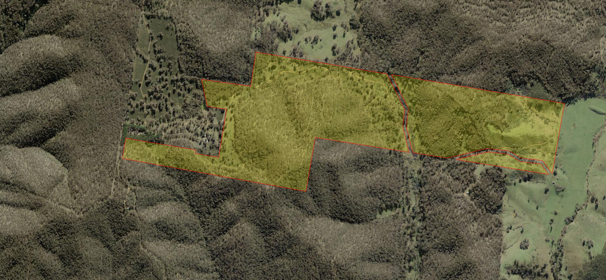 1474 Bald Ridge Road, Bald Ridge, NSW, 2795 - Image 11