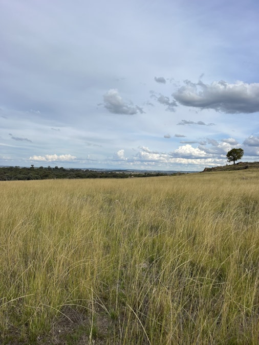 804 Old Yullundry Road, Yullundry, NSW, 2867 - Image 1