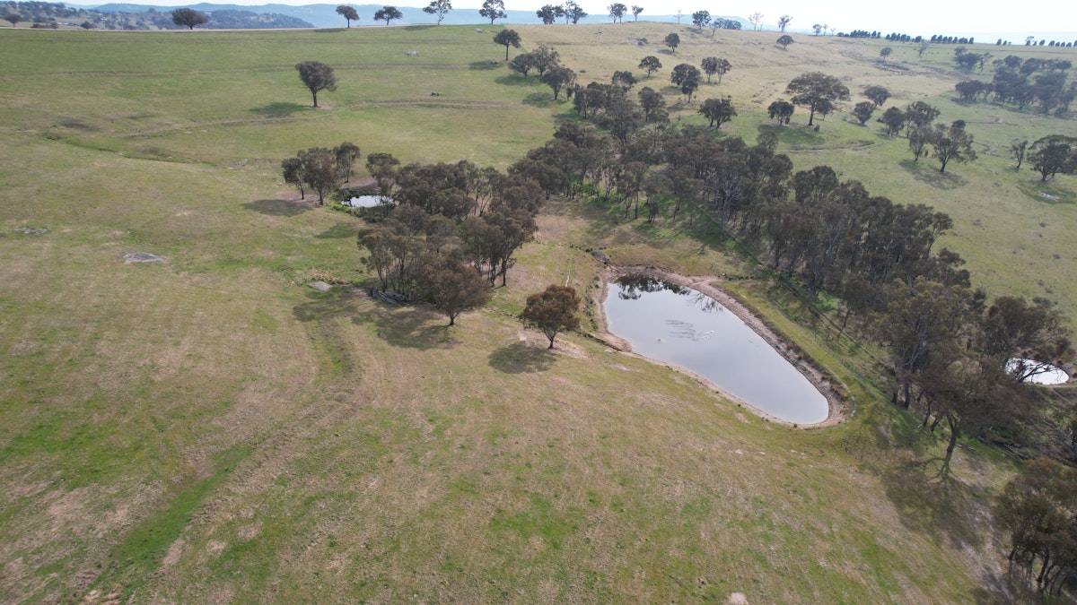 Lot 3/831 Ophir Road, Bathurst, NSW, 2795 - Image 5