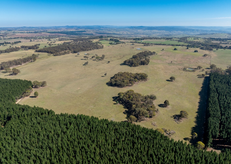 2439 Mitchell Highway, Vittoria, NSW, 2799 - Image 20