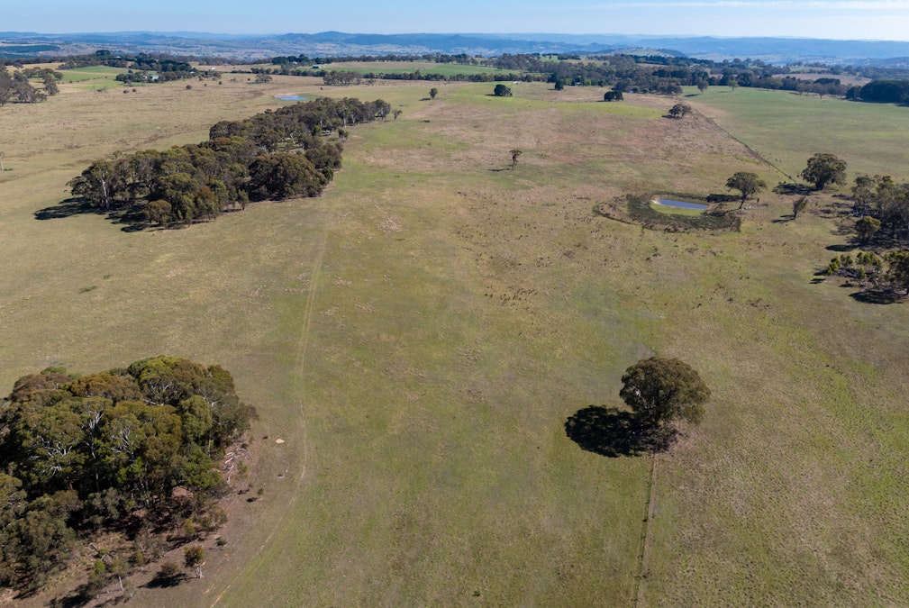 2439 Mitchell Highway, Vittoria, NSW, 2799 - Image 21