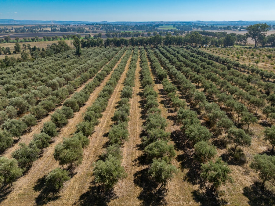 'Kalavista' 20/444 Rivers Road, Canowindra, NSW, 2804 - Image 23