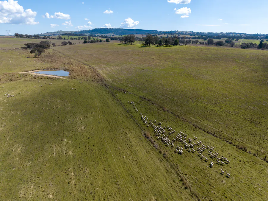 440 Duramana Road, Eglinton, NSW, 2795 - Image 4