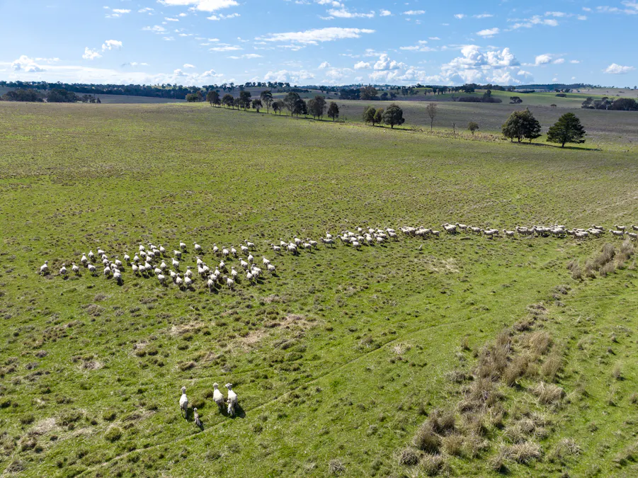 440 Duramana Road, Eglinton, NSW, 2795 - Image 2