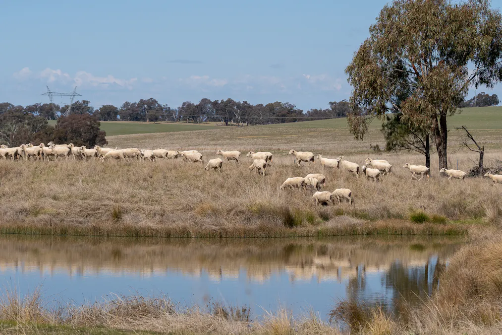 440 Duramana Road, Eglinton, NSW, 2795 - Image 7