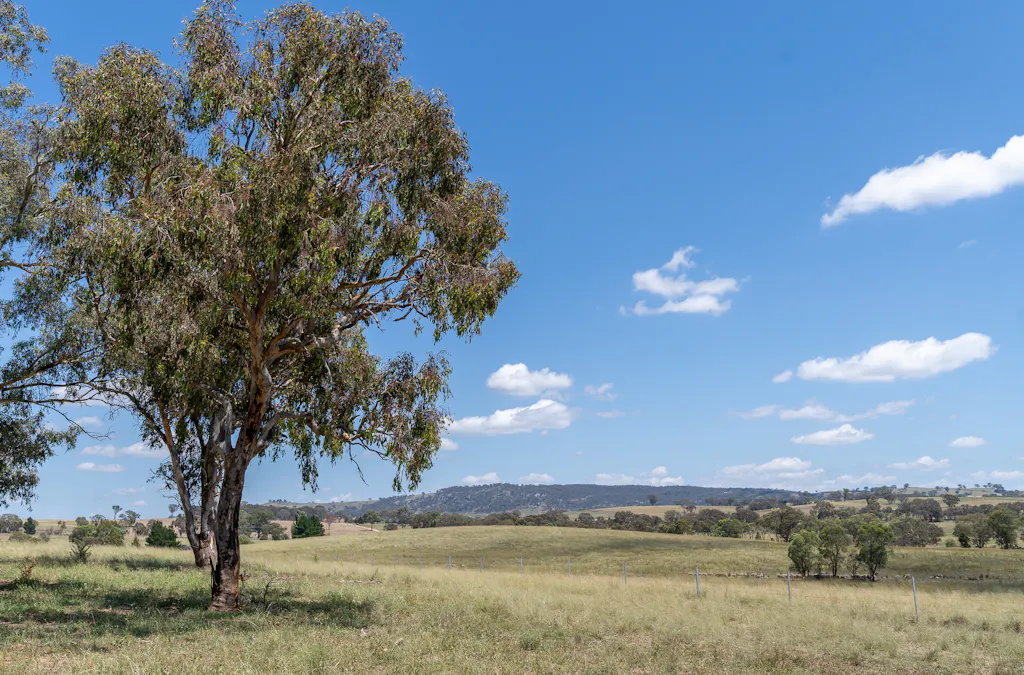 440 Duramana Road, Eglinton, NSW, 2795 - Image 17