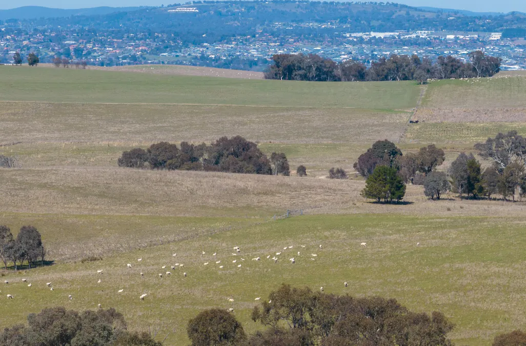 440 Duramana Road, Eglinton, NSW, 2795 - Image 6