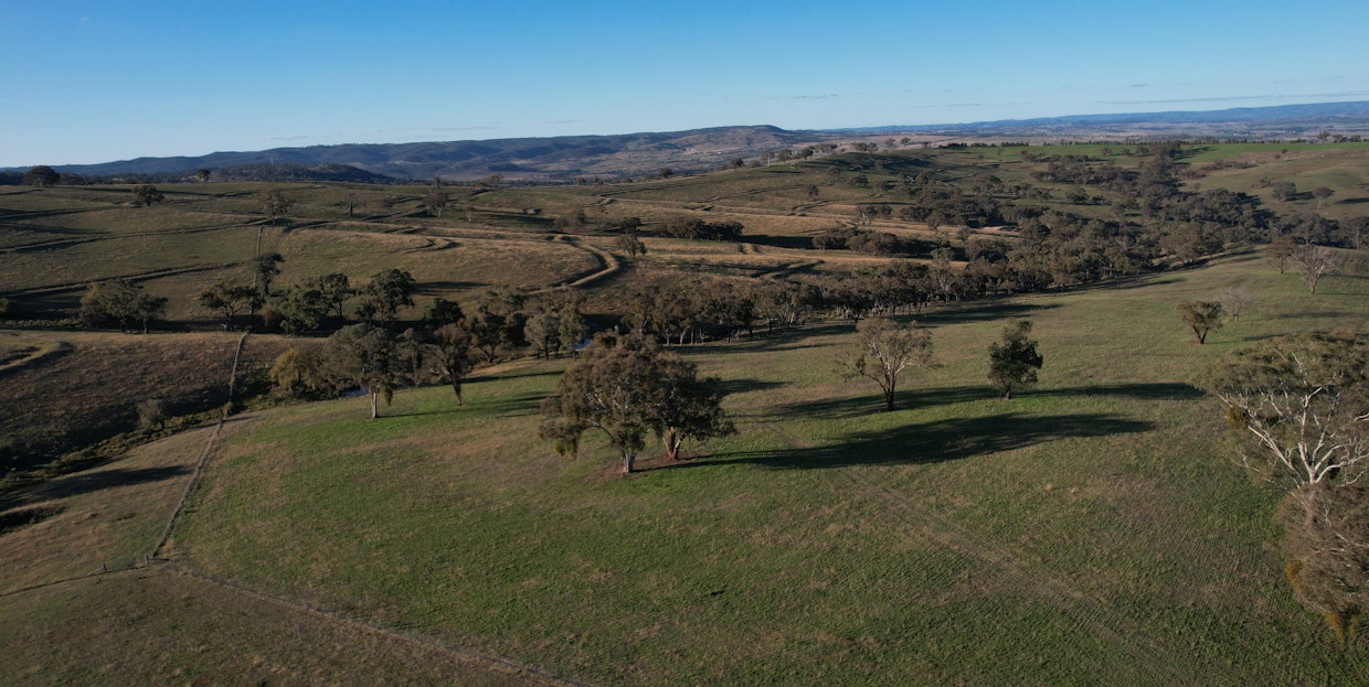 Lot 3/831 Ophir Road, Bathurst, NSW, 2795 - Image 13