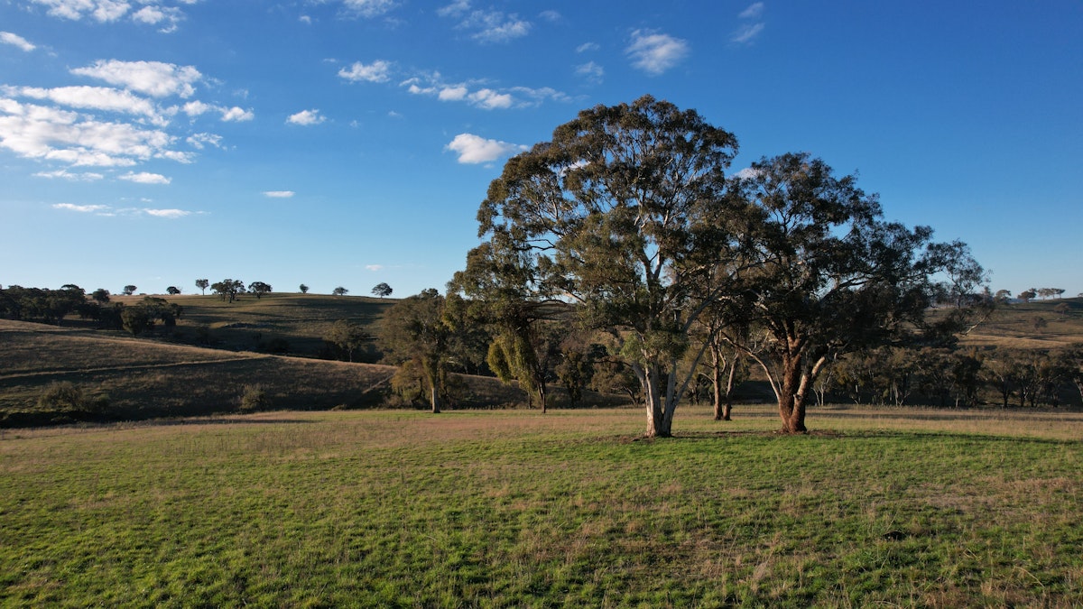 Lot 3/831 Ophir Road, Bathurst, NSW, 2795 - Image 16