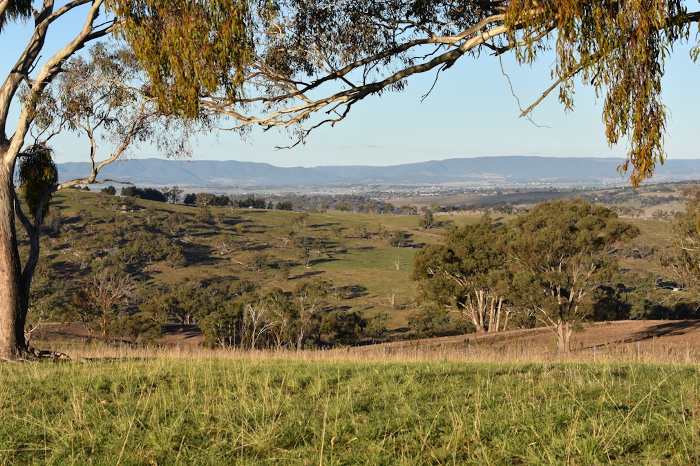 Lot 3/831 Ophir Road, Bathurst, NSW, 2795 - Image 2