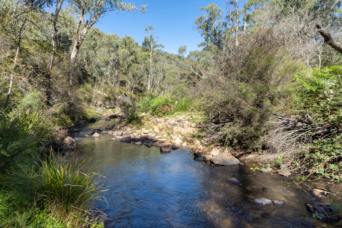 80 Oakey Forest Road, Marrangaroo, NSW, 2790 - Image 1