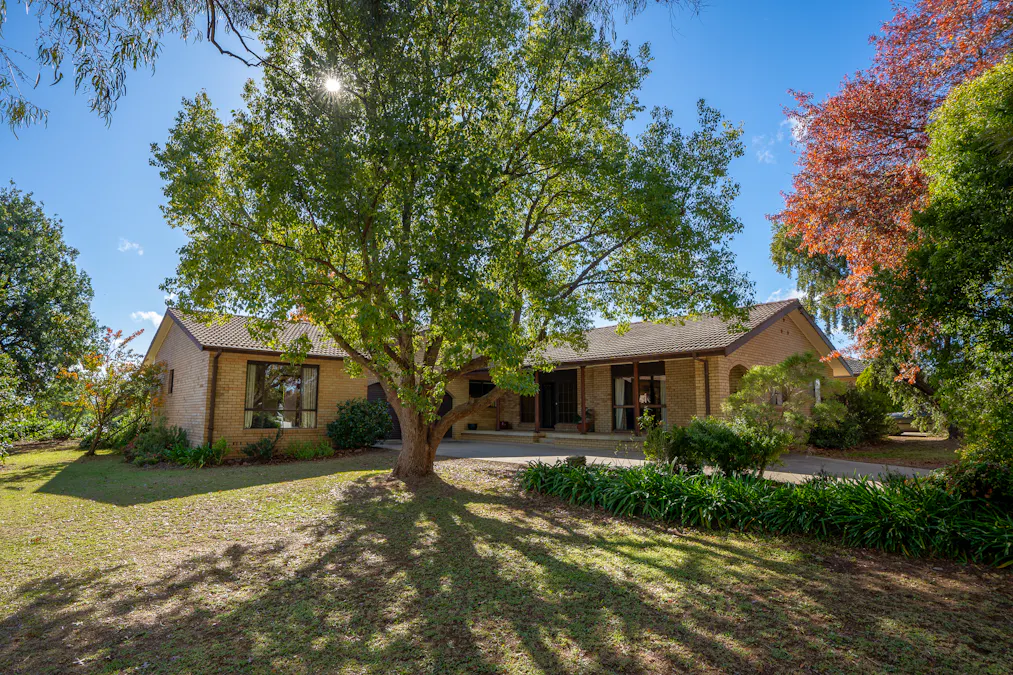 47 - 49 Walker Street, Cowra, NSW, 2794 - Image 2