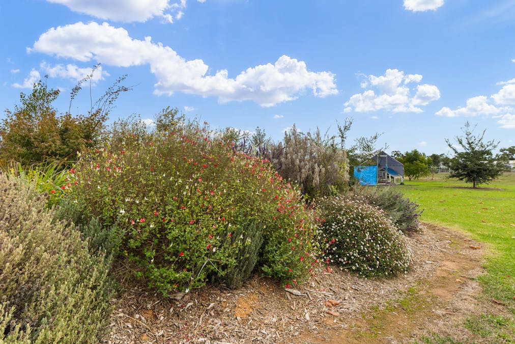 24-26 River Park Road, Cowra, NSW, 2794 - Image 17