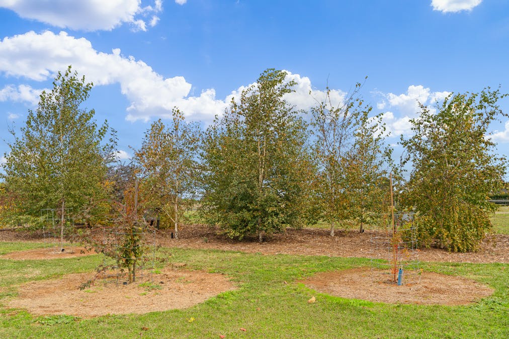 24-26 River Park Road, Cowra, NSW, 2794 - Image 18