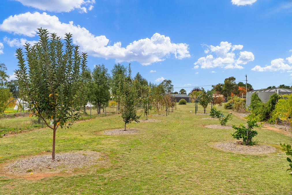 24-26 River Park Road, Cowra, NSW, 2794 - Image 20