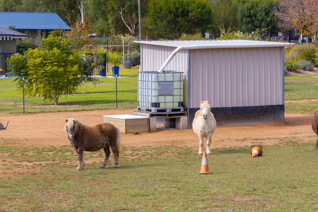 24-26 River Park Road, Cowra, NSW, 2794 - Image 24