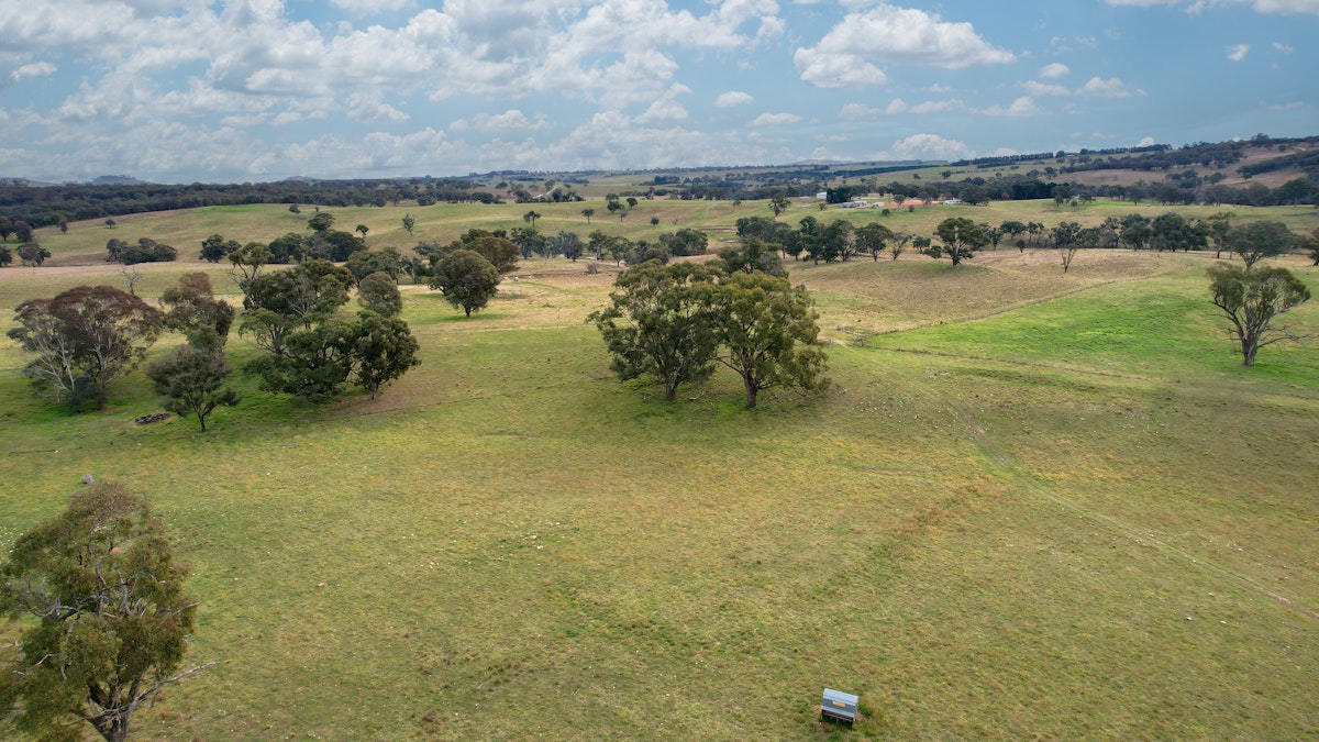 2625 Trunkey Road, Caloola, NSW, 2795 - Image 25