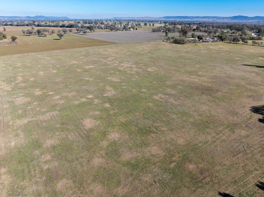 'Monterey Park' 76 Noonbinna East Road, Cowra, NSW, 2794 - Image 16