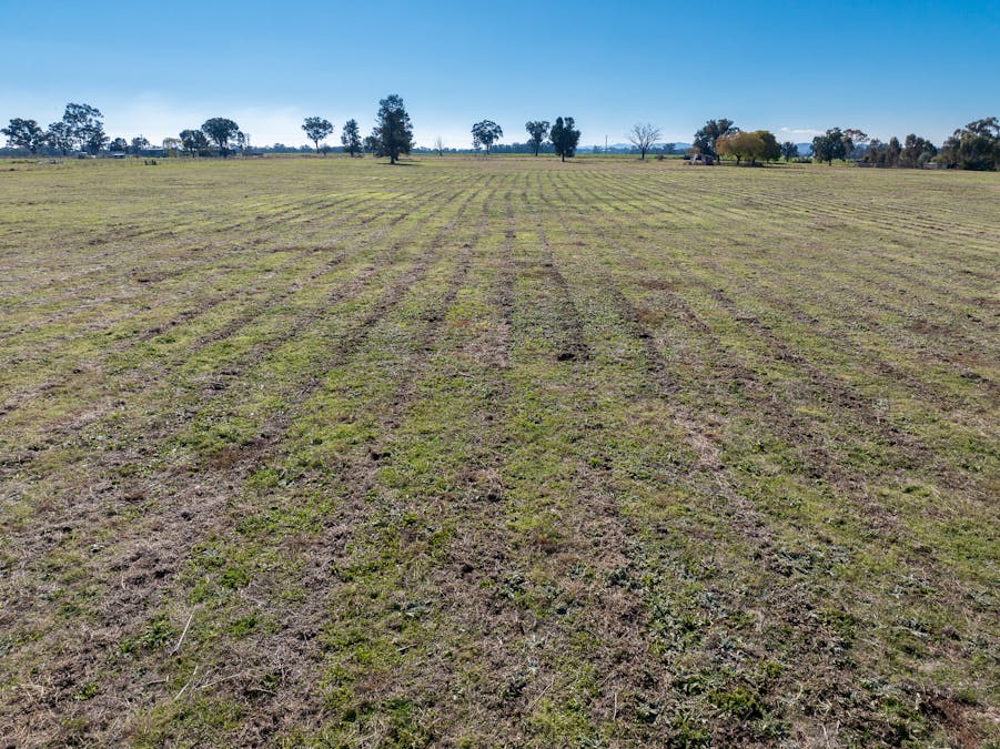 'Monterey Park' 76 Noonbinna East Road, Cowra, NSW, 2794 - Image 19