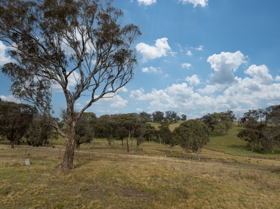 695 Caloola Road, Newbridge, NSW, 2795 - Image 26