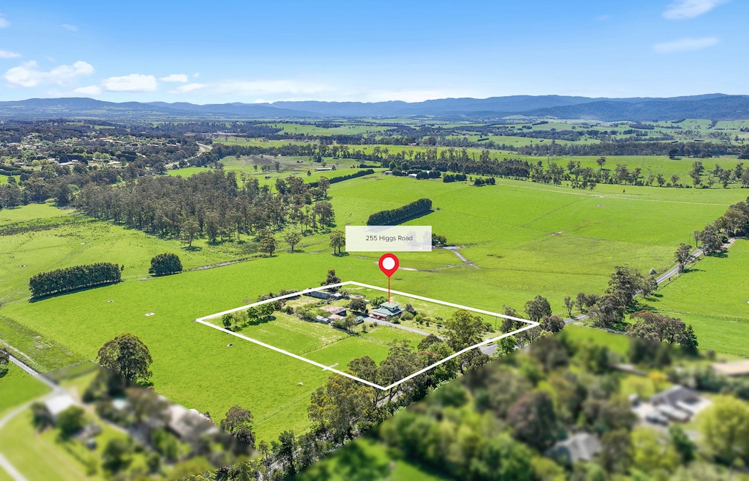 255 Higgs Road, Drouin, VIC, 3818 - Image 4