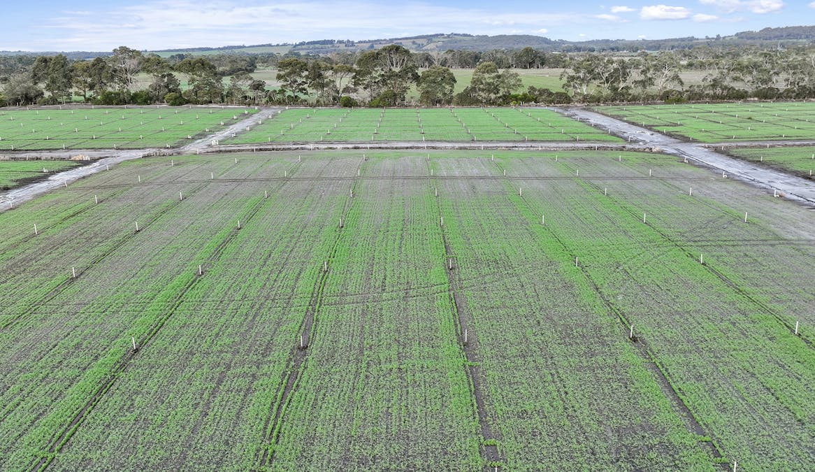 200 Milners Road, Lang Lang, VIC, 3984 - Image 26