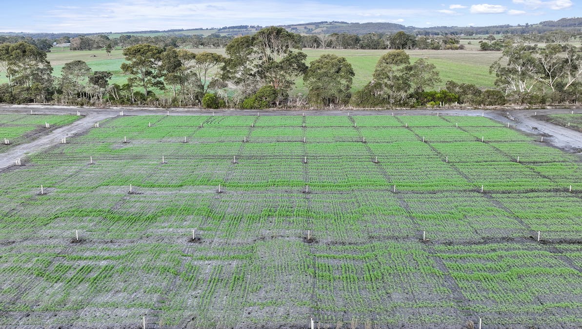 200 Milners Road, Lang Lang, VIC, 3984 - Image 27