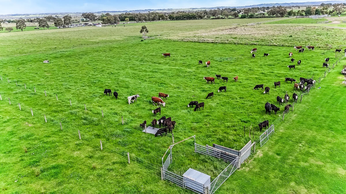 215 Evans Road, Longwarry, VIC, 3816 - Image 7