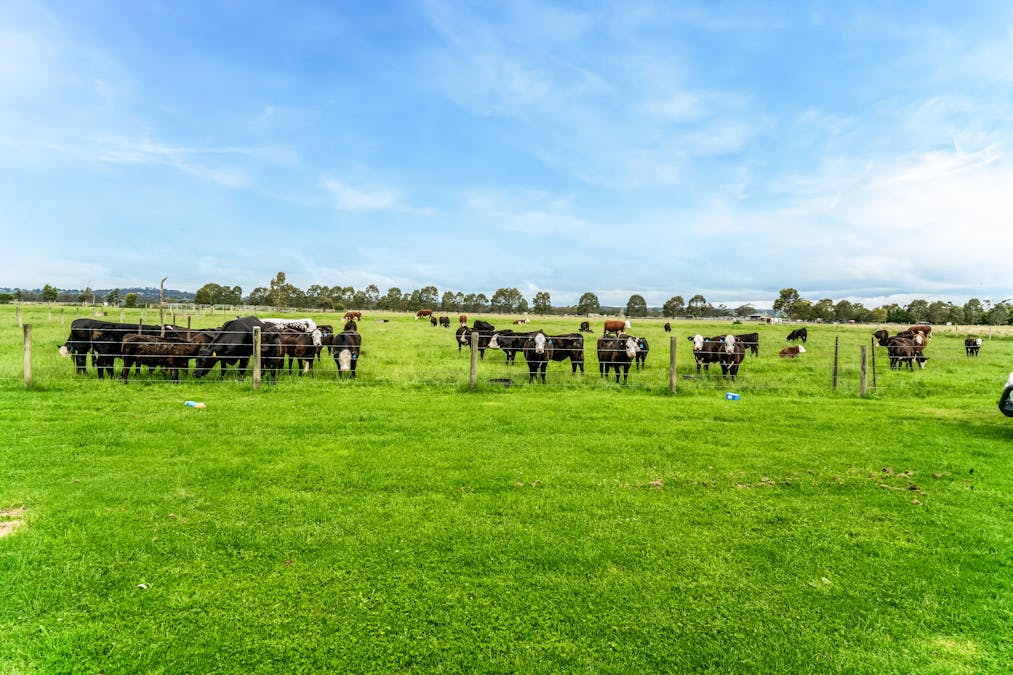 215 Evans Road, Longwarry, VIC, 3816 - Image 8