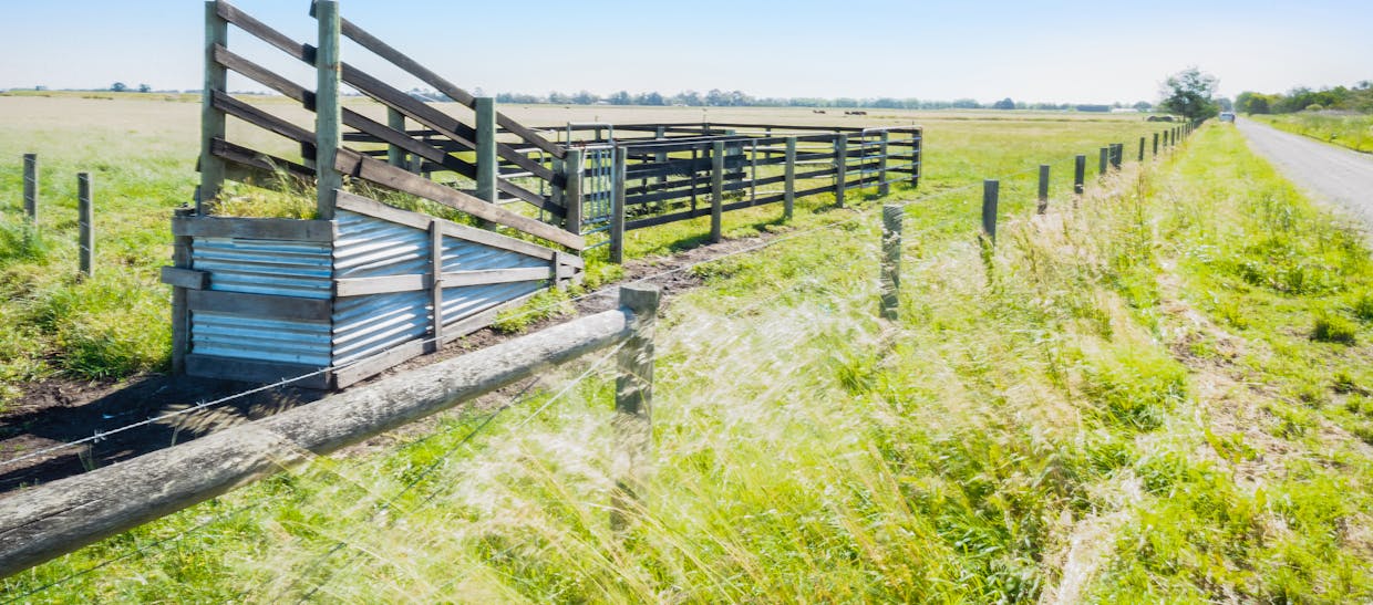 215 Hogans Road, Bayles, VIC, 3981 - Image 6