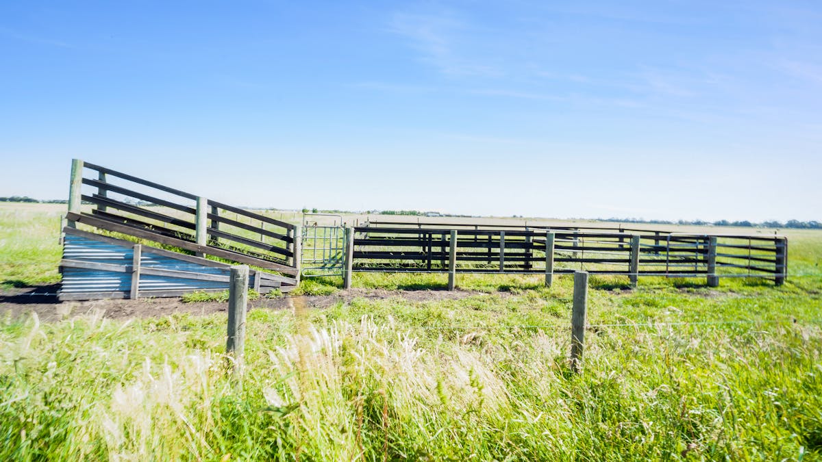 215 Hogans Road, Bayles, VIC, 3981 - Image 7