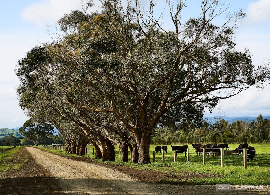 28-30 St Huberts Road, Yering, VIC, 3770 - Image 14