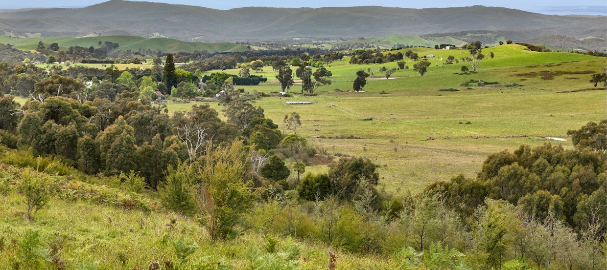 21 Gullett Road, Glenburn, VIC, 3717 - Image 4