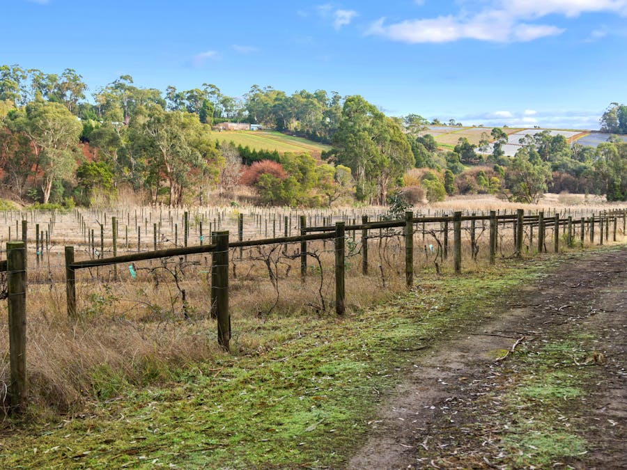 120 Channel Road, Silvan, VIC, 3795 - Image 2